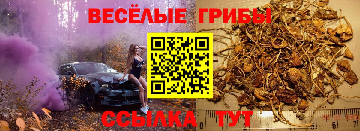 Ревда  цены   Вход с VPN  Галлюциногенные грибы мухоморы  Галлюциногенные грибы мухоморы 